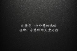 开云体育官网-暗流与闪电，2026世界杯淘汰赛，厄瓜多尔以防守反击扼杀越南，托纳利一剑封喉