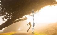开云体育入口-沙漠与群山之间的逆转，2026世界杯H组，斯洛伐克如何用钢铁意志完成对伊朗的致命一击