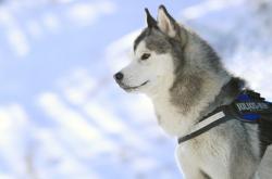 开云体育在线-巴黎与台北的同一份信笺，当胜利跨越山海