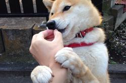 开云体育中国-极速与风暴，双线引爆体育焦点夜