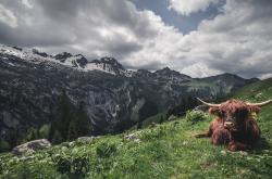 开云体育-绿茵荣耀与篮球烽火，当德甲争冠战遇见浙江队晋级的夜晚