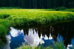 开云体育登录-寒流与桑巴的炽热交响，芬兰关键战突围卡塔尔，内马尔成为关键先生