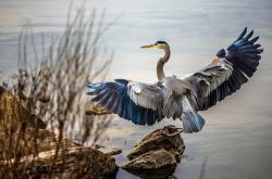 开云体育入口-双料关键先生武切维奇，广东终结新疆连胜的X因素