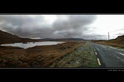 开云体育平台APP-灰熊与鲨鱼，当孟菲斯雨季遇上上海霓虹