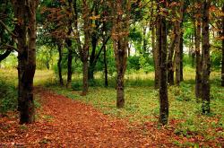 开云体育APP下载-孤星照耀安菲尔德，努涅斯一人导演逆转，奥地利力量击沉皇家社会战舰