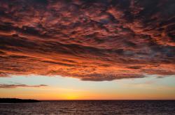 开云体育登录-新星破局，拉梅洛·鲍尔在公牛VS活塞的巅峰对决中完成自我证明