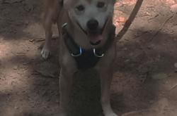 开云体育平台APP-跨界风暴，欧冠篮球邀请赛半决赛，山西队终场绝杀魔术