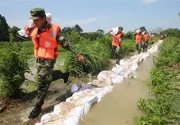 DK血洗Excel，Nemesis一己之力扛起全队