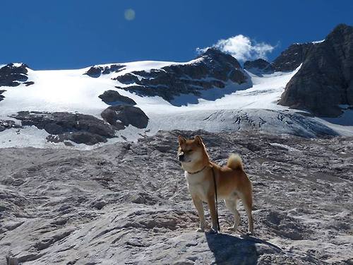 联合杯，正在翻盘拉沃尔杯们的统治