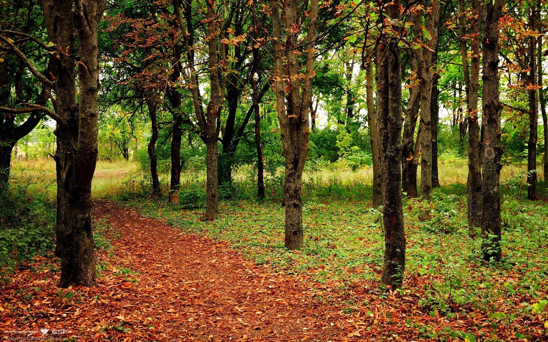 无声处听惊雷—楚阿梅尼的沉默引擎，推动阿森纳终场绝杀莱比锡