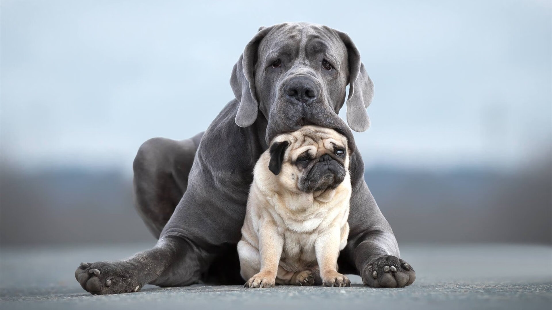 绝杀之夜，吉林恩比德扛起全队逆转广州