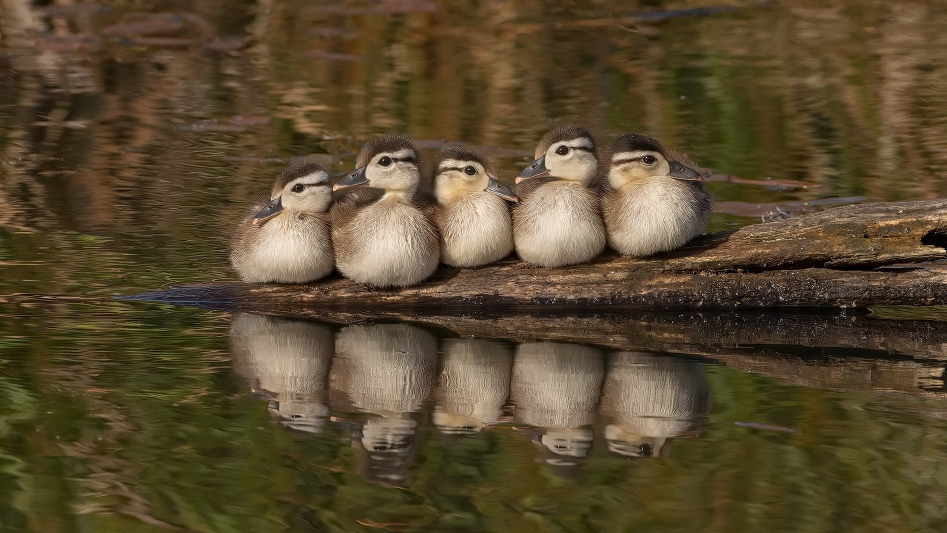 关键战中的冷门与稳定,几内亚淘汰中国,德布劳内不手软