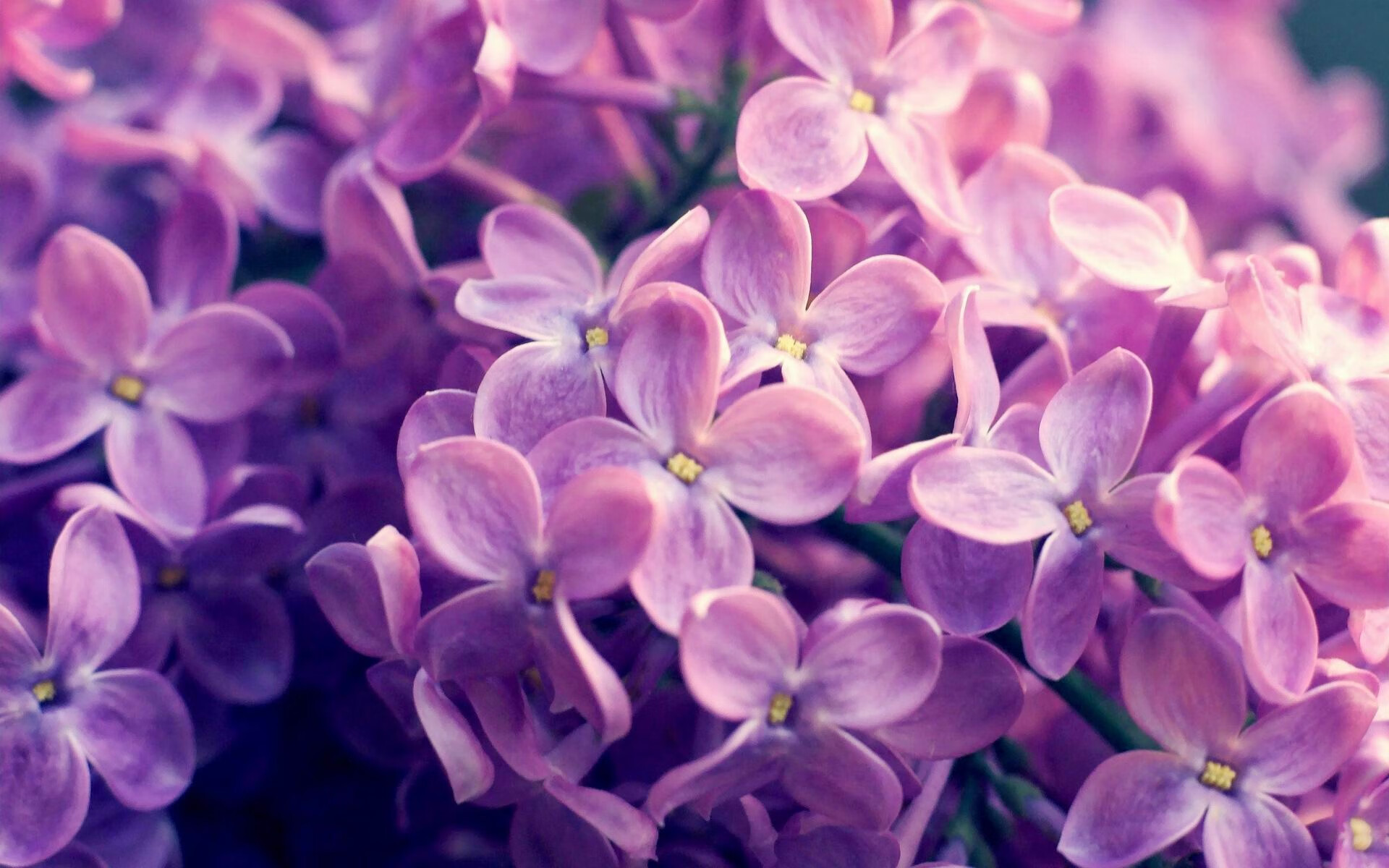 绿茵场上的两重奏，从德甲巅峰对决到希腊鏖战厄瓜多尔