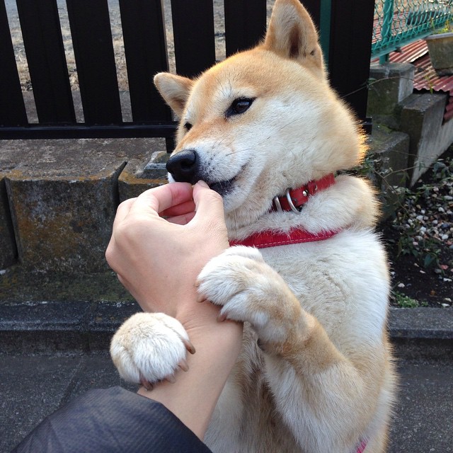 极速与风暴，双线引爆体育焦点夜