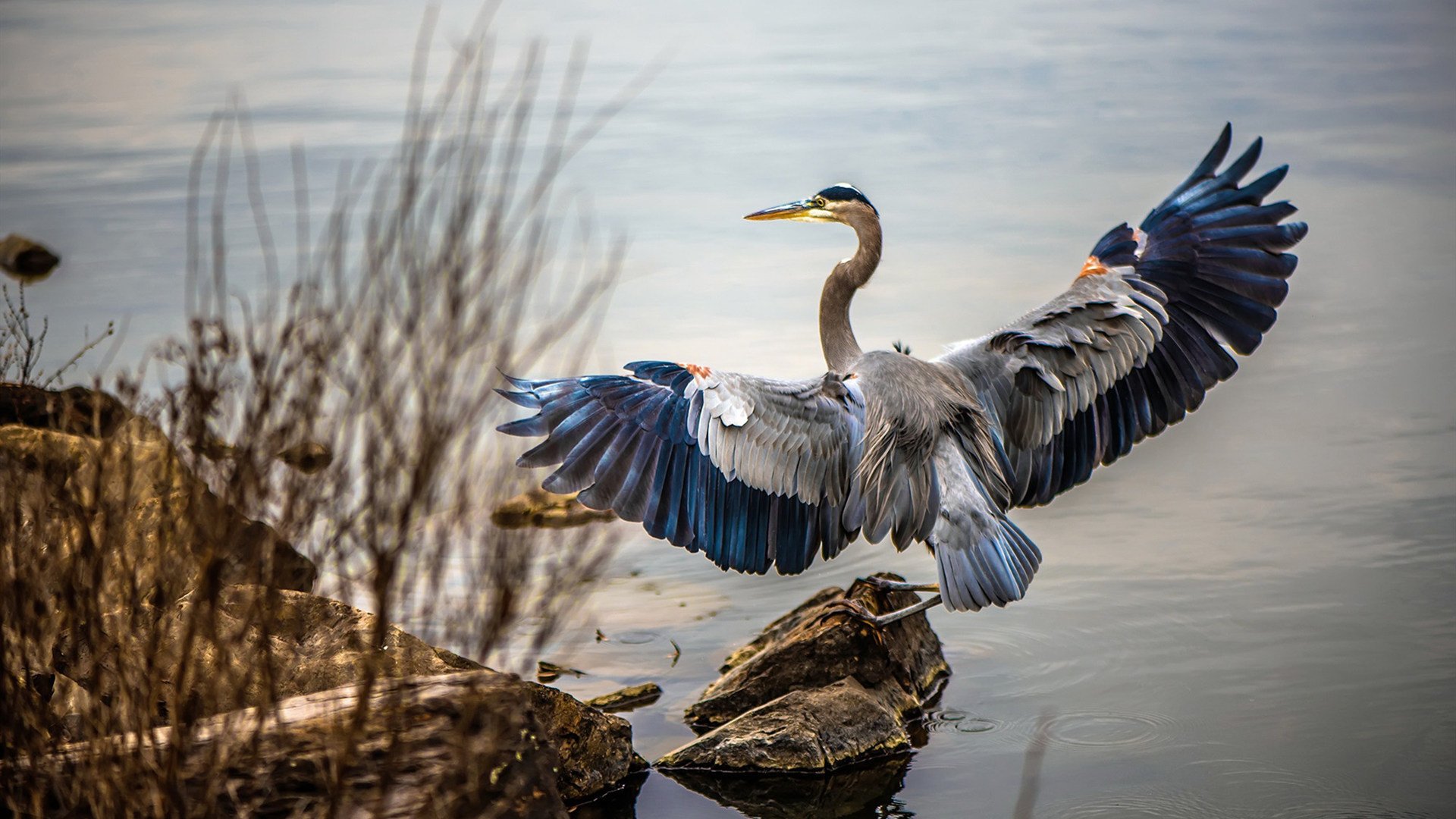 逆转之魂,从斯坦福桥到阿布扎比
