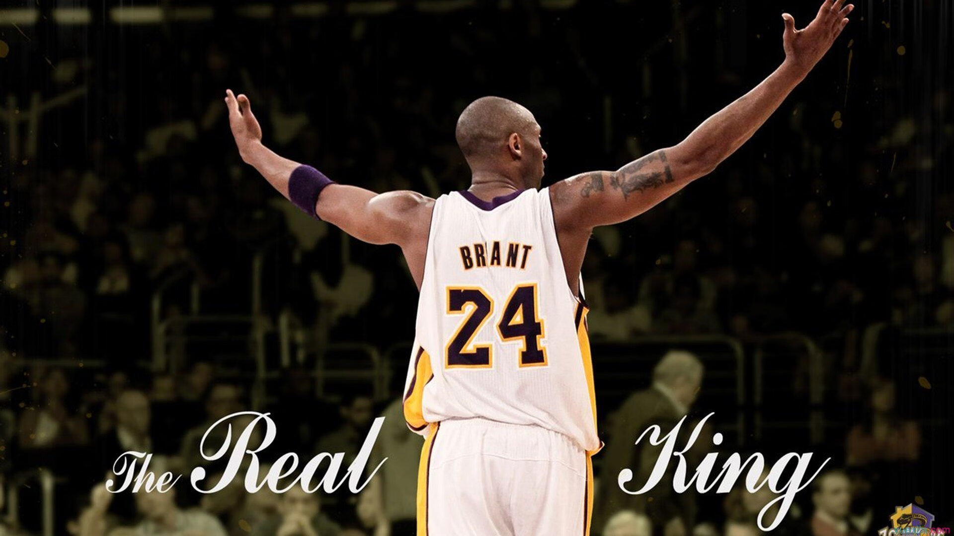 硬仗之王文班亚马，湖人对阵火箭的战术镜鉴