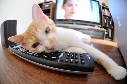 多维篮球叙事，从76人鏖战山西到切特欧冠封神