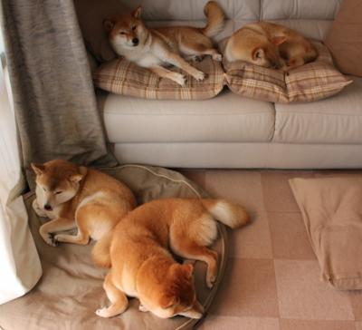 战术棋局，摩纳哥如何用一场非典型胜利，在欧洲心脏完成对马竞的思维压制？