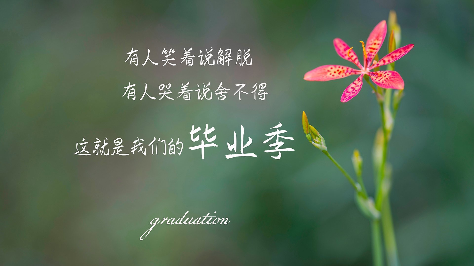 欧冠决赛焦点战，马赛逆袭埋葬切尔西王朝梦