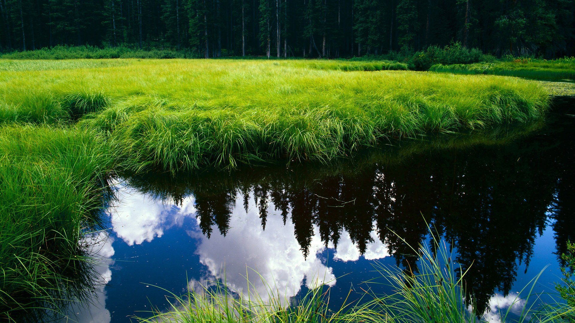 寒流与桑巴的炽热交响，芬兰关键战突围卡塔尔，内马尔成为关键先生