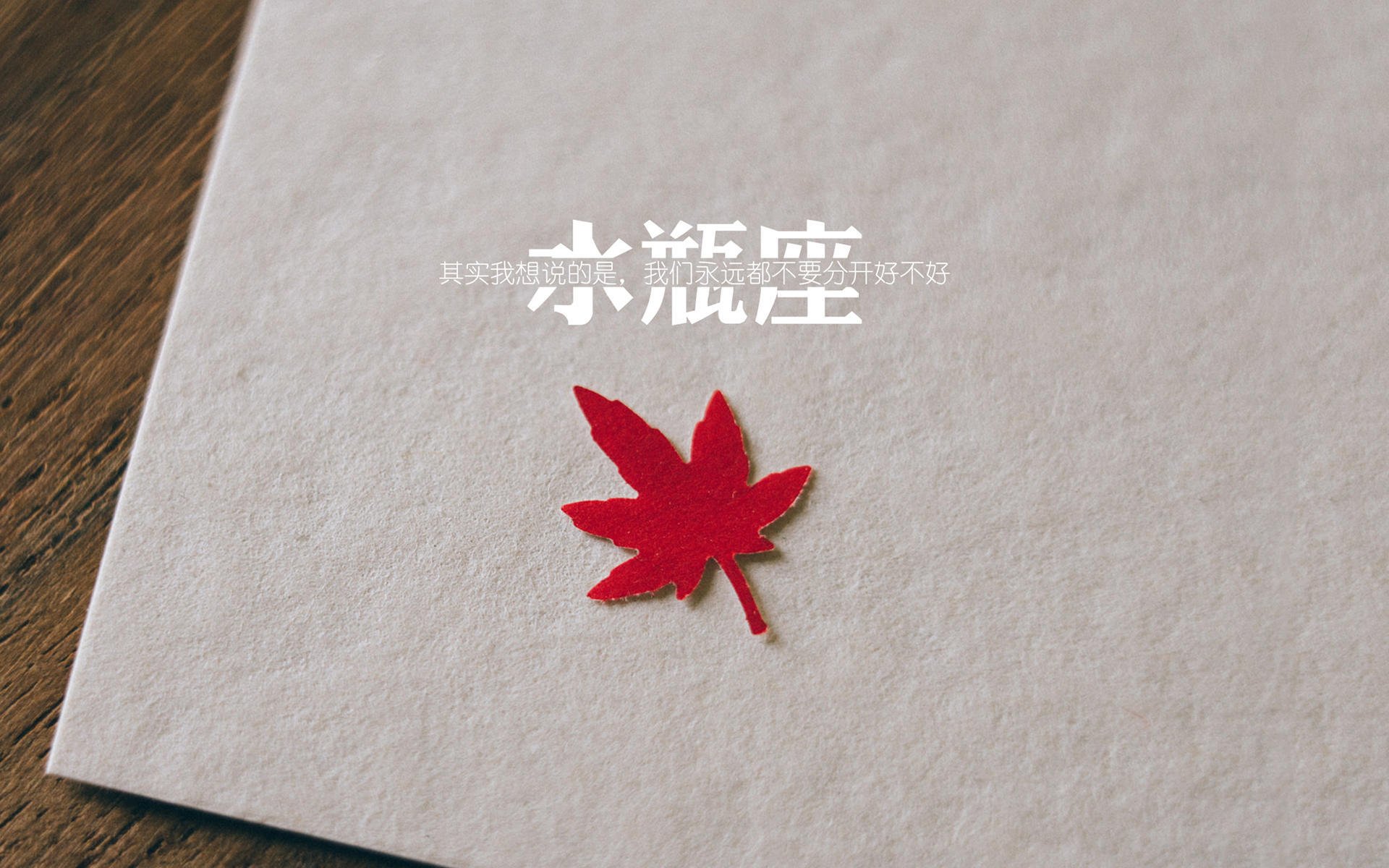 时空裂缝中的对决,2026世界杯焦点战,尼克斯末节带走浙江队