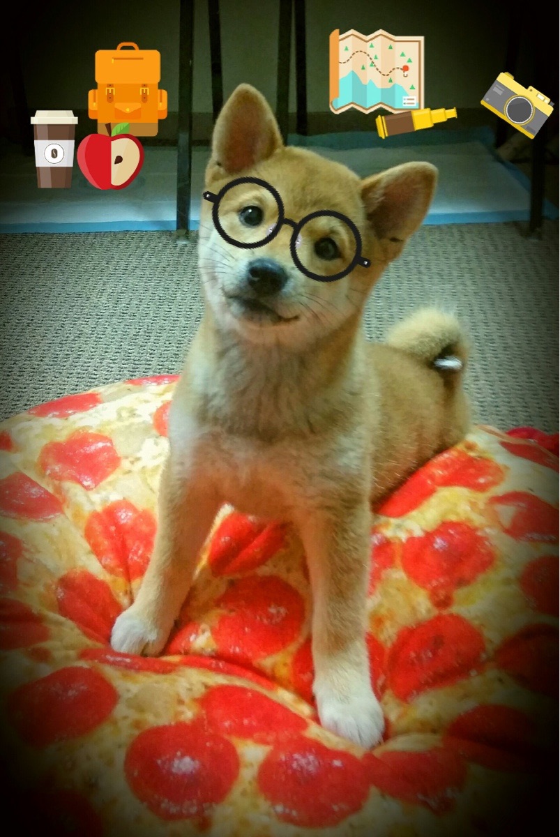 永恒之城怒涛!罗马欧冠奇迹夜,一波流带走巴西巨星军团