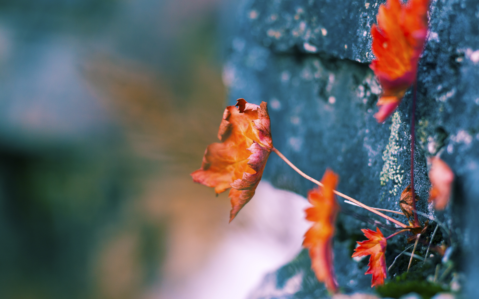 淬火之刃,基耶萨一锤定音,巴萨战术手术刀完美肢解阿森纳