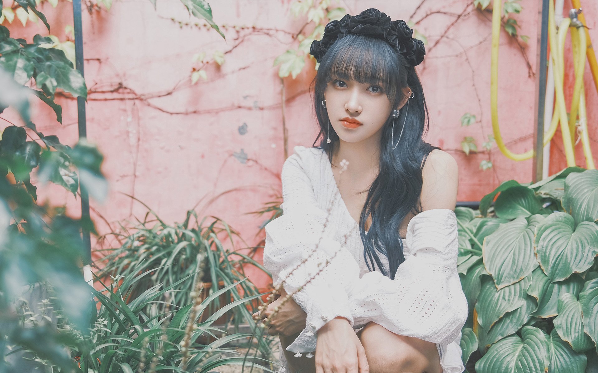 冰与火的碰撞，当枫叶篮球终结雷鬼节奏