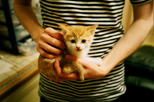 三分闪电，勇士单节风暴与小贾伦的全球冲击波