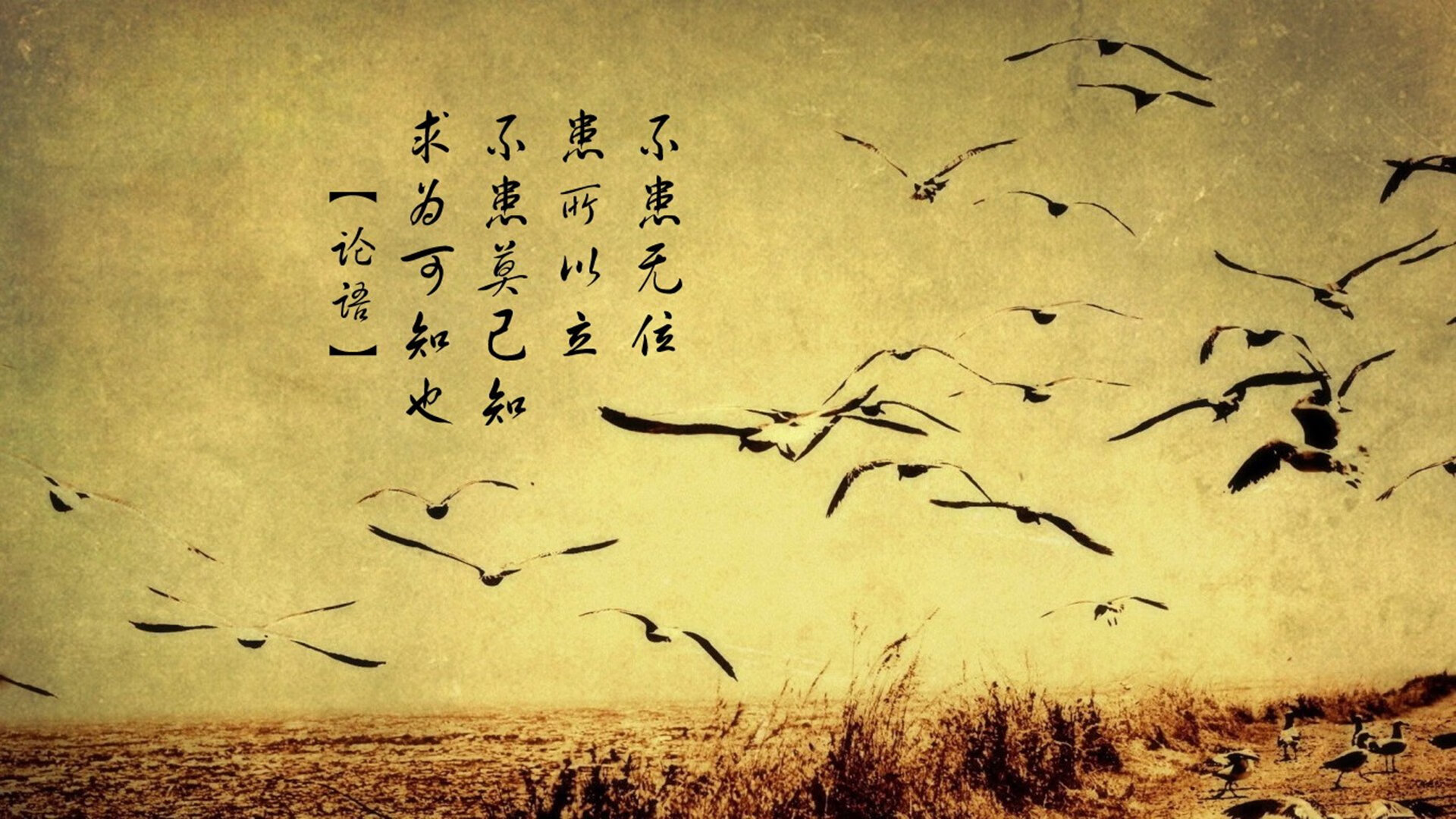 夜幕下的绝杀传奇,马竞压哨神迹击碎尤文主场神话