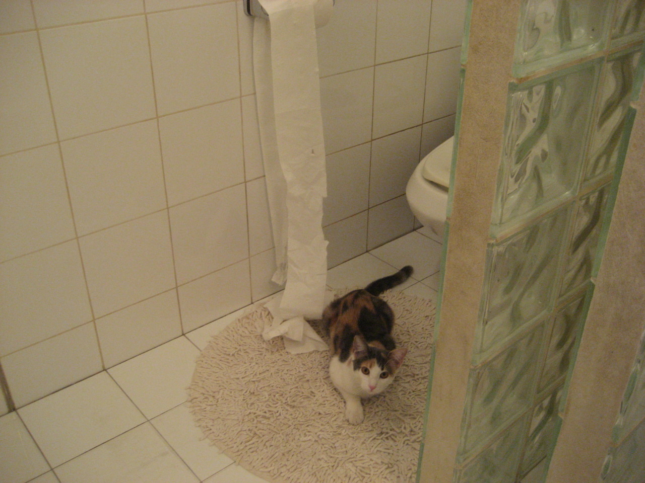 东契奇独木难支！新疆飞虎铁链囚龙战术，让热火三叉戟哑火