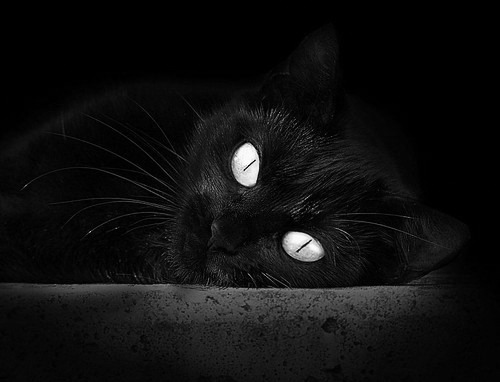 太阳焚城，浓眉破晓，当团队篮球的极限遇见孤星的重生